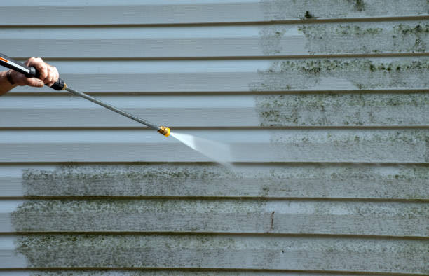 Best House Exterior Washing  in Hwatha, IA