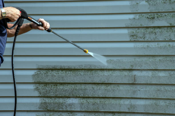 Best Gutter Cleaning  in Hwatha, IA